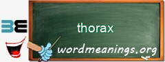 WordMeaning blackboard for thorax